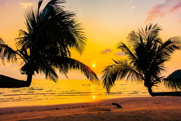 Silhouettes of coconut palm trees — Stock Photo, Image