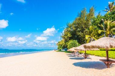 Şemsiye ve tropikal plaj sandalye