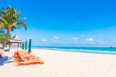 Şemsiye ve tropikal plaj sandalye