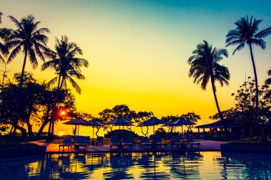 Hindistan cevizi hurma ağaçlarının Silhouettes