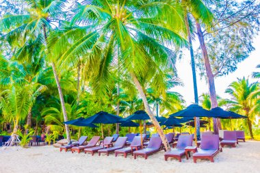 Güzel tropikal plaj ve deniz