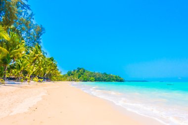 Güzel tropikal plaj ve deniz