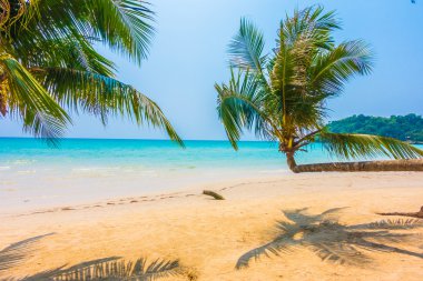 Güzel tropikal deniz ve kum plaj