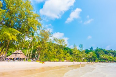 Güzel tropikal deniz ve kum plaj