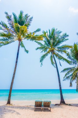 Güzel tropikal deniz ve kum plaj