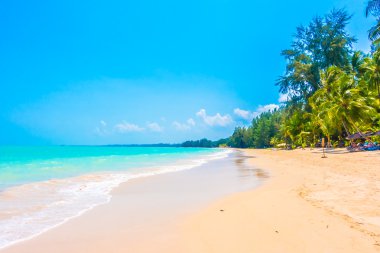 Güzel tropikal plaj ve deniz