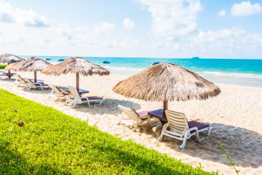 Güzel tropikal plaj ve deniz