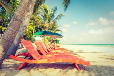 Şemsiye ve plaj sandalye