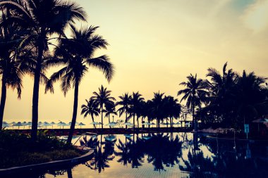 Ve Yüzme Havuzu palmiye ağaçlarının Silhouettes