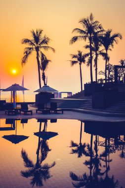 Güzel siluet palmiye ağacı