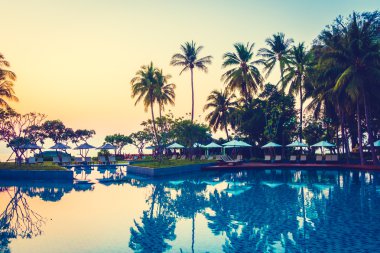 Hindistan cevizi hurma ağaçlarının Silhouettes