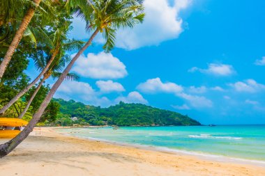 güzel tropikal plaj ve deniz manzara