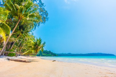 Güzel tropikal deniz ve kum plaj