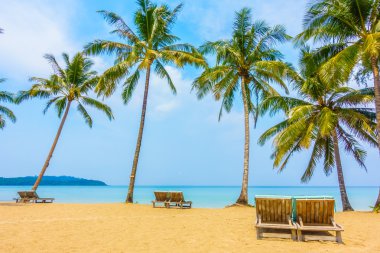 güzel tropik okyanus