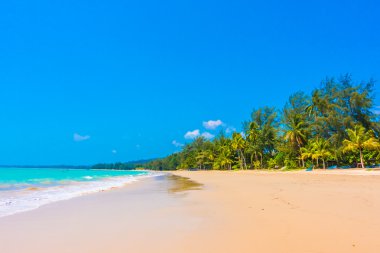 Güzel tropikal plaj ve deniz