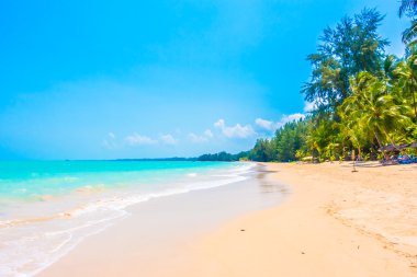 Güzel tropikal plaj ve deniz