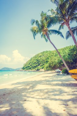Güzel tropikal plaj ve deniz