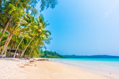 Güzel tropikal deniz ve kum plaj