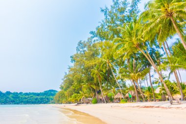 Güzel tropikal deniz ve kum plaj