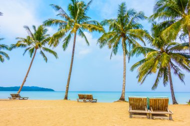 güzel tropik okyanus