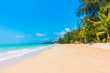 Güzel tropikal plaj ve deniz