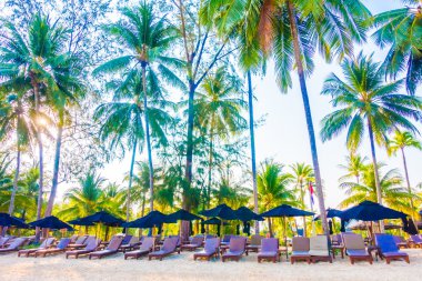 Güzel tropikal plaj ve deniz