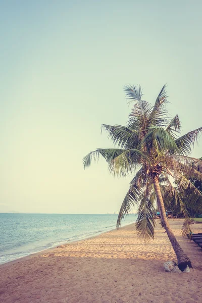 Kókuszfa a strandon — Stock Fotó