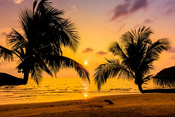 椰子の木のシルエット — ストック写真