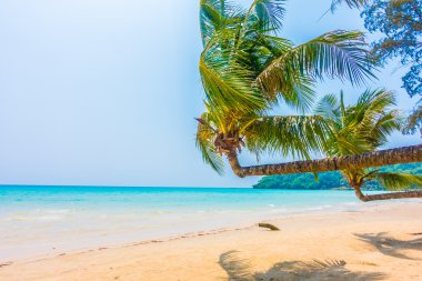 Güzel tropikal deniz ve kum plaj