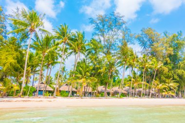 Güzel tropikal deniz ve kum plaj