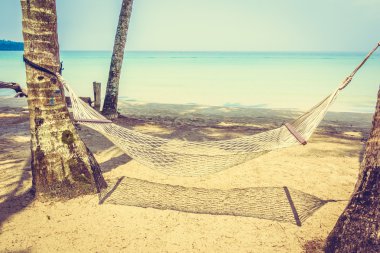 Boş hamak güzel tropik sahilde