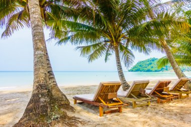 güzel tropik okyanus