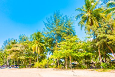 Güzel tropikal plaj ve deniz
