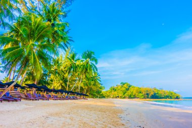 Güzel tropikal plaj ve deniz