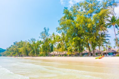Güzel tropikal deniz ve kum plaj