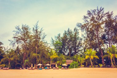 Güzel tropikal plaj ve deniz