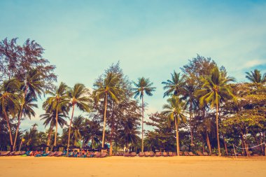 Güzel tropikal plaj ve deniz