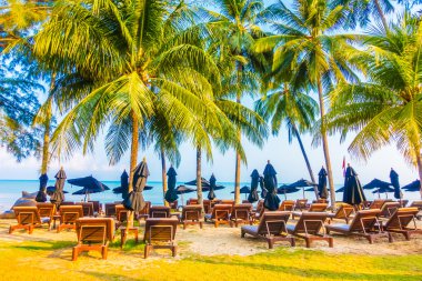 Güzel tropikal plaj ve deniz