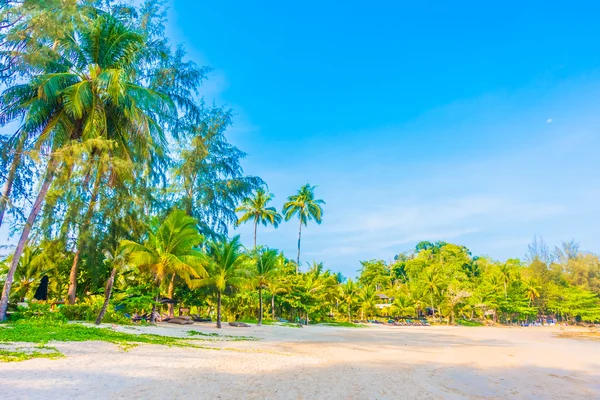 Beautiful tropical beach and sea — Stock Photo, Image