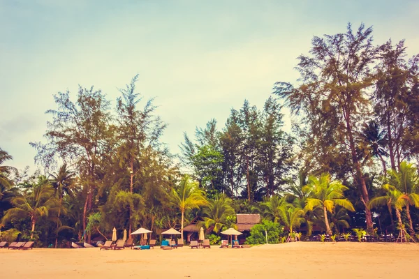 Güzel tropikal plaj ve deniz