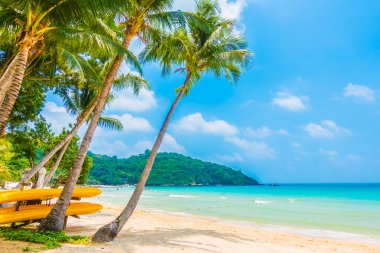 güzel tropikal plaj ve deniz manzara