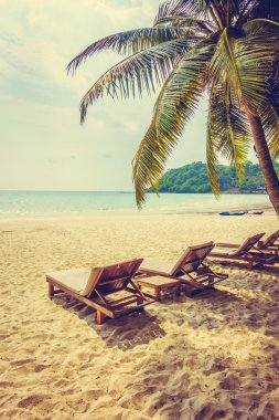 güzel tropik okyanus