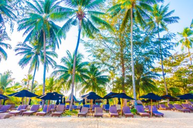 Güzel tropikal plaj ve deniz