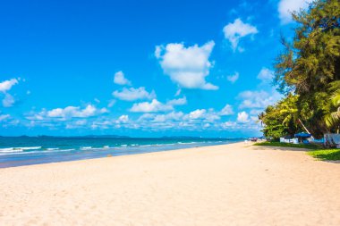 Güzel tropikal plaj ve deniz