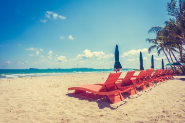 Şemsiye ve plaj sandalye