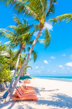 Güzel tropikal plaj ve deniz