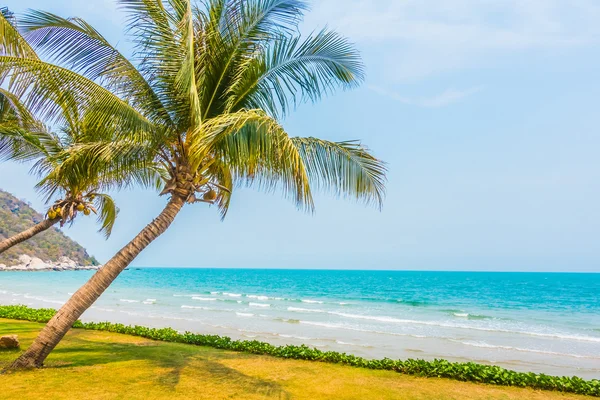 Кокосовая пальма на тропическом пляже и море — стоковое фото