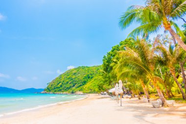 güzel tropikal plaj ve deniz manzara