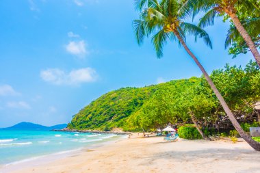 güzel tropikal plaj ve deniz manzara