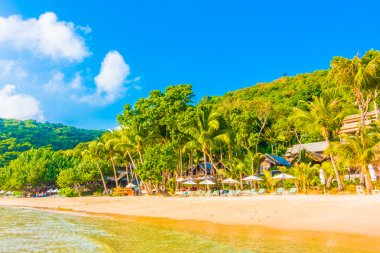 güzel tropikal plaj ve deniz manzara